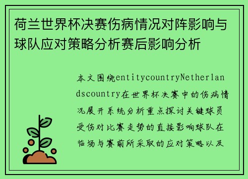 荷兰世界杯决赛伤病情况对阵影响与球队应对策略分析赛后影响分析
